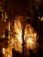 Stalactites, stalagmites et une colonne à Aven Armand - Gîtes Castel de Cantobre, Aveyron, France