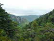 View on the way up (and down) - Castel de Cantobre Gîtes, Aveyron, France
